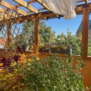 Truhlářství Woodnest — Vybrané práce | 14 | altán, pergola | Hrubý Jeseník